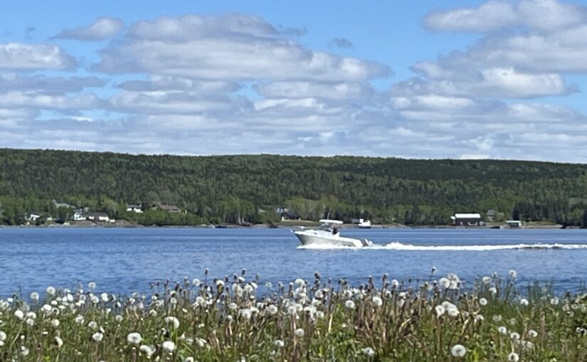 Day 16 – In Lewisporte, part deux